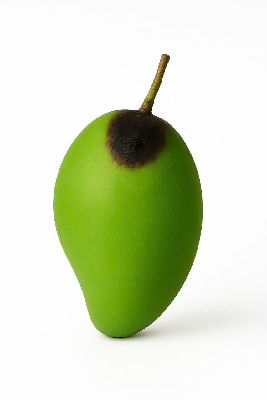 Xoài cát chu (xanh)