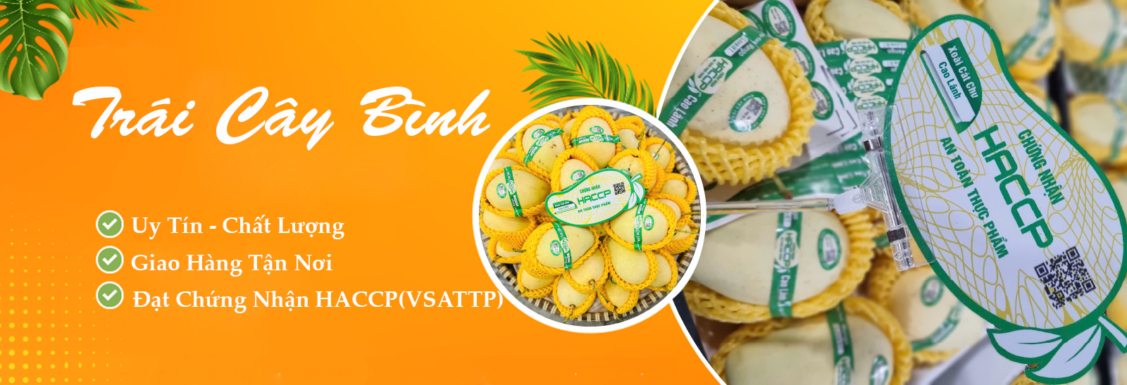 traicaybinh.com